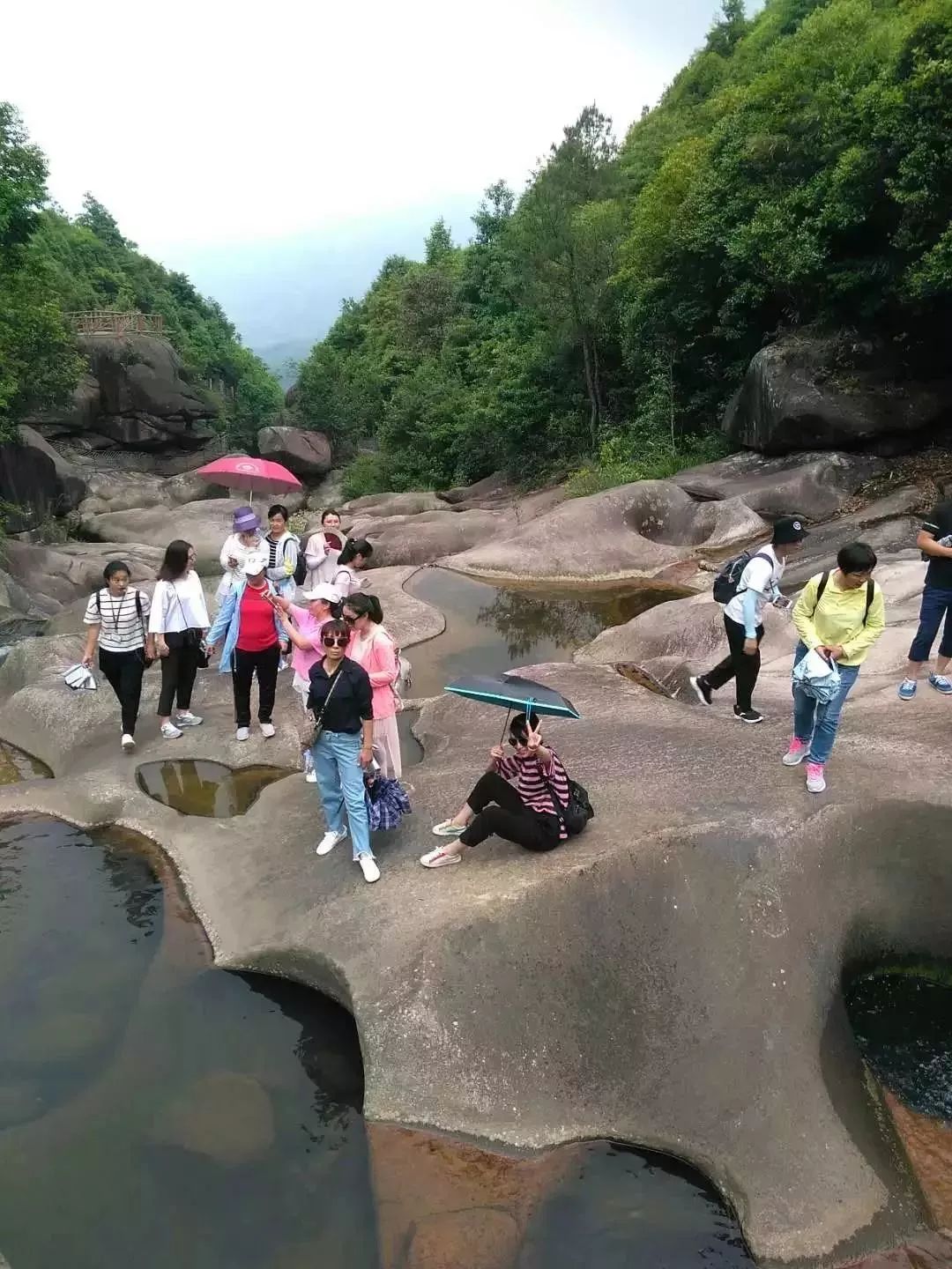 九龍井▲東獅山獅子嶺此次培訓達到了預期的效果,既增強了柘榮導遊