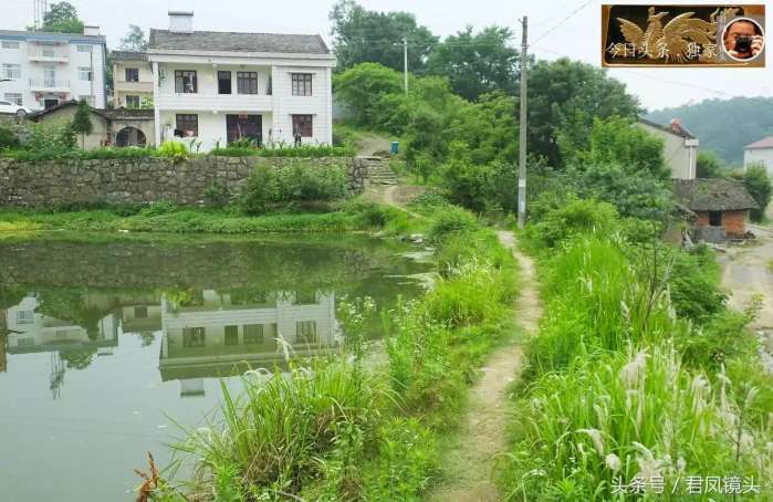 湖北宜昌市夷陵區黃花鎮姜家畈村,青山綠水!