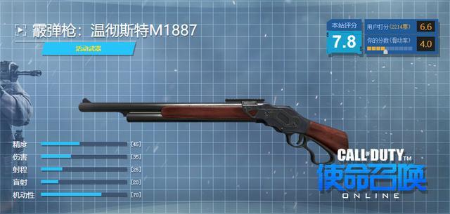 m1873杠杆步枪图片