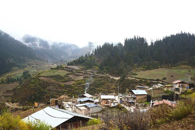 贯彻十九大记者走基层桑坝从大山深处走出一条绿色发展之路