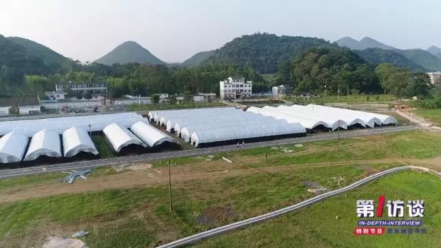 持续关注富川脱贫攻坚特别节目《第一访谈,与朝东镇镇长潘荣辉,和