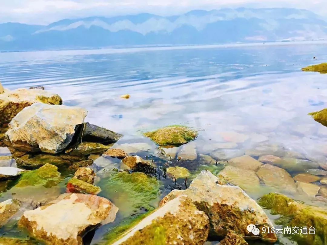 劃定 洱海湖區界線( 藍線) 洱海湖濱帶保護界線( 綠線) 洱海水商