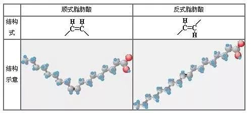 你每天都在吃的反式脂肪酸被世卫组织拉黑奶茶面包巧克力无一幸免