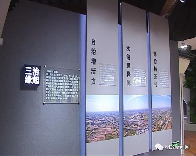 时政深化三治融合建设嘉兴市总结提升推广新时代枫桥经验暨三治融合