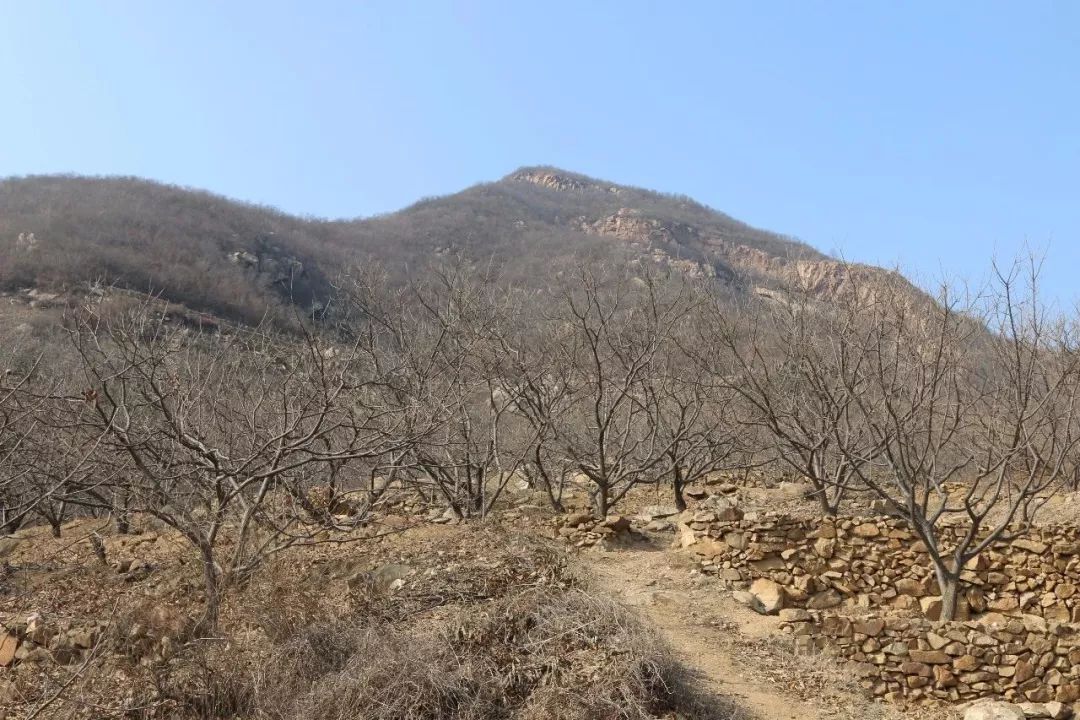 黄巢寨山山寨遗址位于泰安市岱岳区道朗镇朱家庄村,里峪村,在村北的