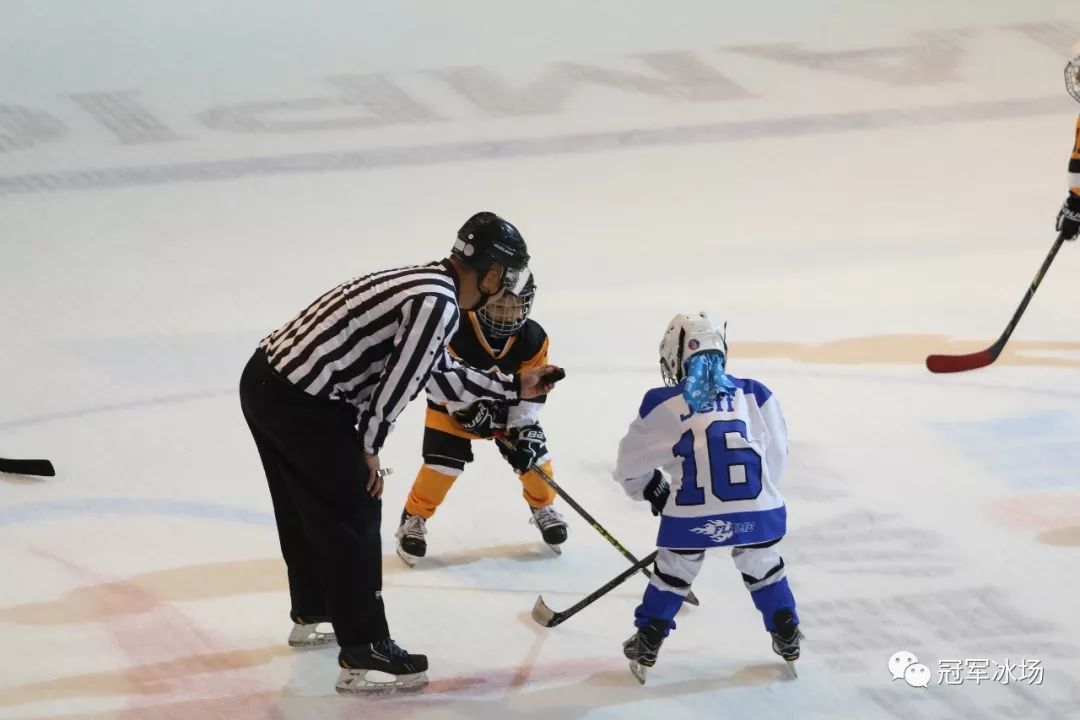 成都零度陽光獵手a隊冠軍:成都零度陽光天狼星隊亞軍:重慶hockey王子d