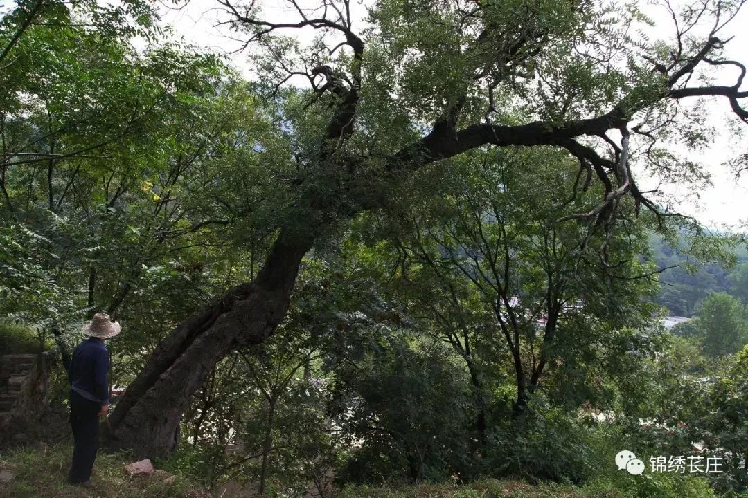 又叫老观井,位于村西的老观峪自然村,明洪武年间赵氏族人迁来石庙后挖