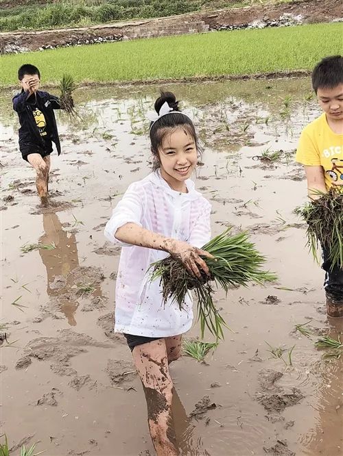 脱鞋下田图片