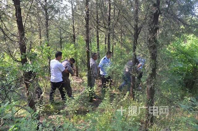 國家電網湖北省電力有限公司鄖陽區供電公司報警稱,劉洞鎮至白浪鎮