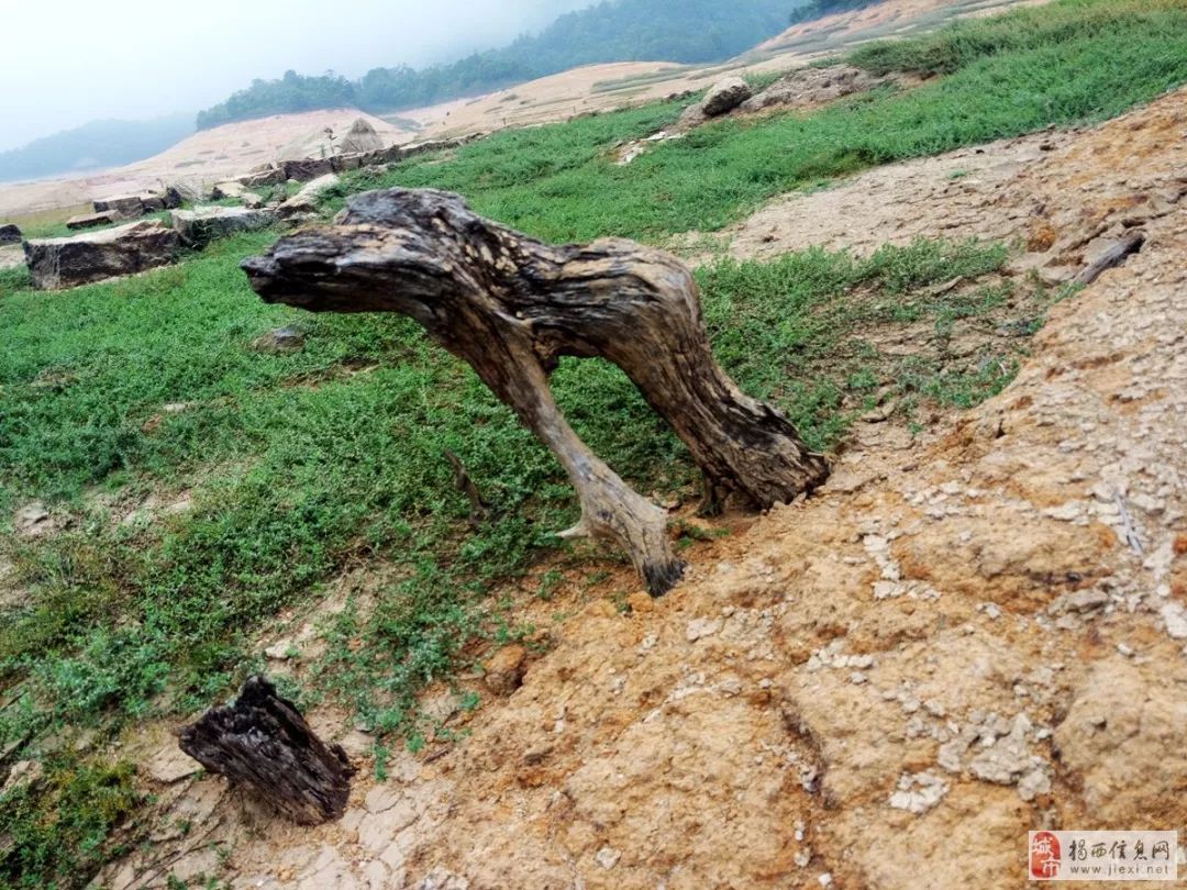 潮汕地区干旱图片
