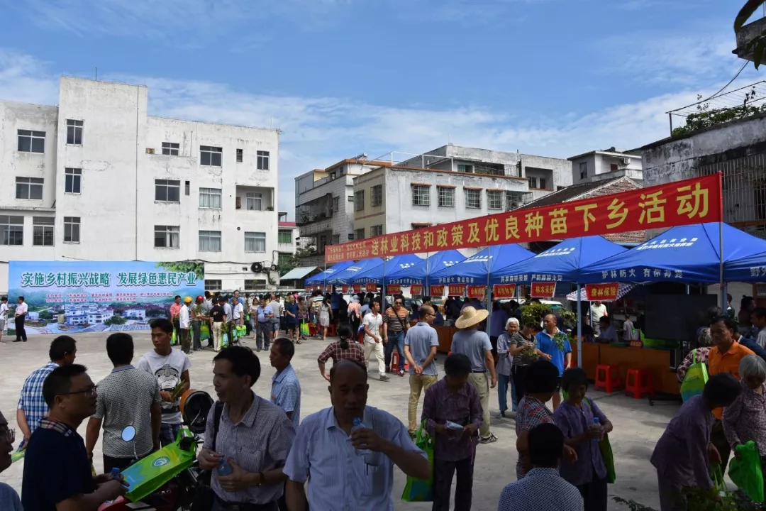 肇慶市林業局聯合省林業廳,省林科院,德慶縣林業局,官圩鎮人民政府在