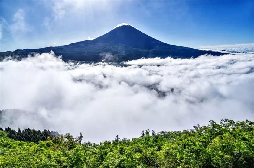 日本攝影師拍攝晨光下富士山在稻田中的倒影 網絡上大受好評