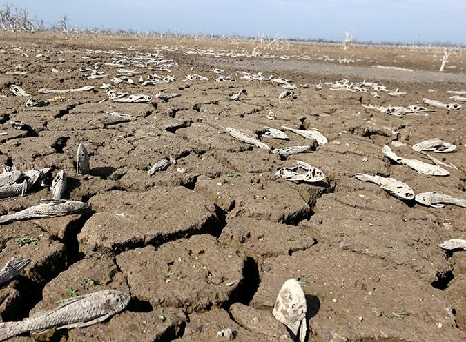 其实中国还不算严重缺水的国家,在非洲地区,每年基本上都会有因为缺水