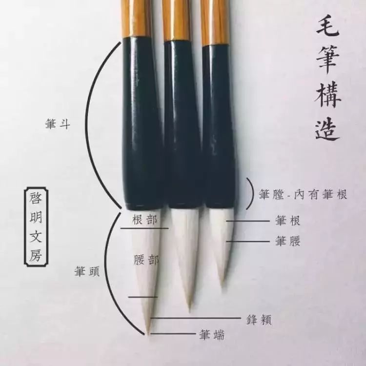 毛笔笔头结构图片