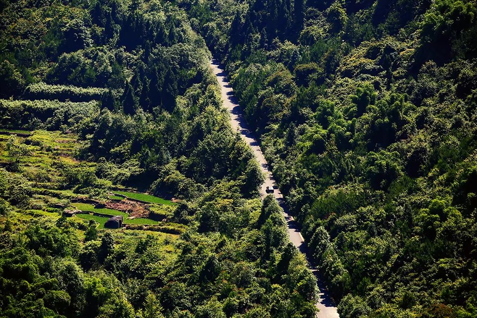 忠县天池山图片