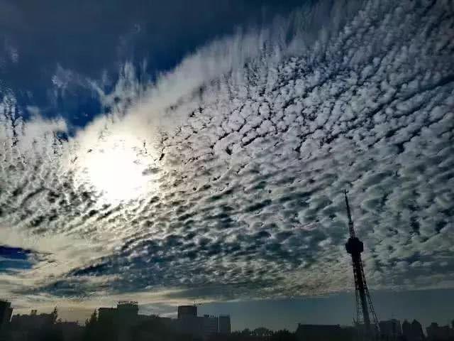 地震云 发生地震图片