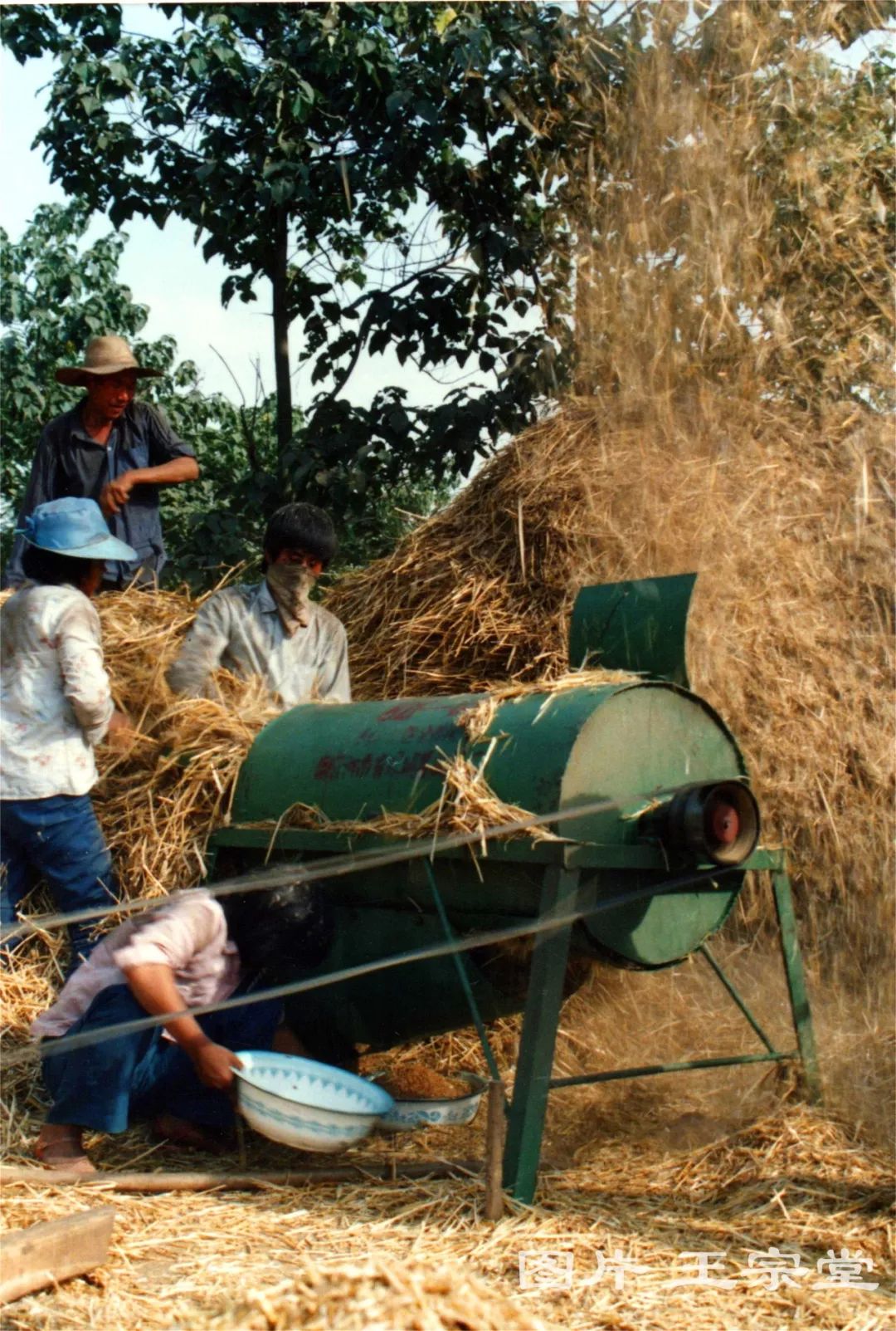 珍贵实拍的30年前商丘打麦的场景还是大圆桶子打麦机呢