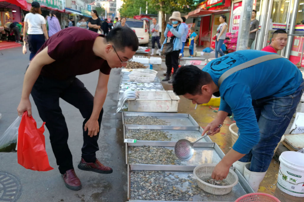 十几块钱一斤无名小鱼 60块钱皮皮虾 菜市场海鲜品种减少价格贵