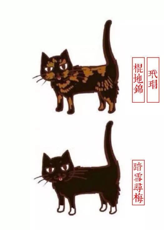 古代猫咪花色叫法图片