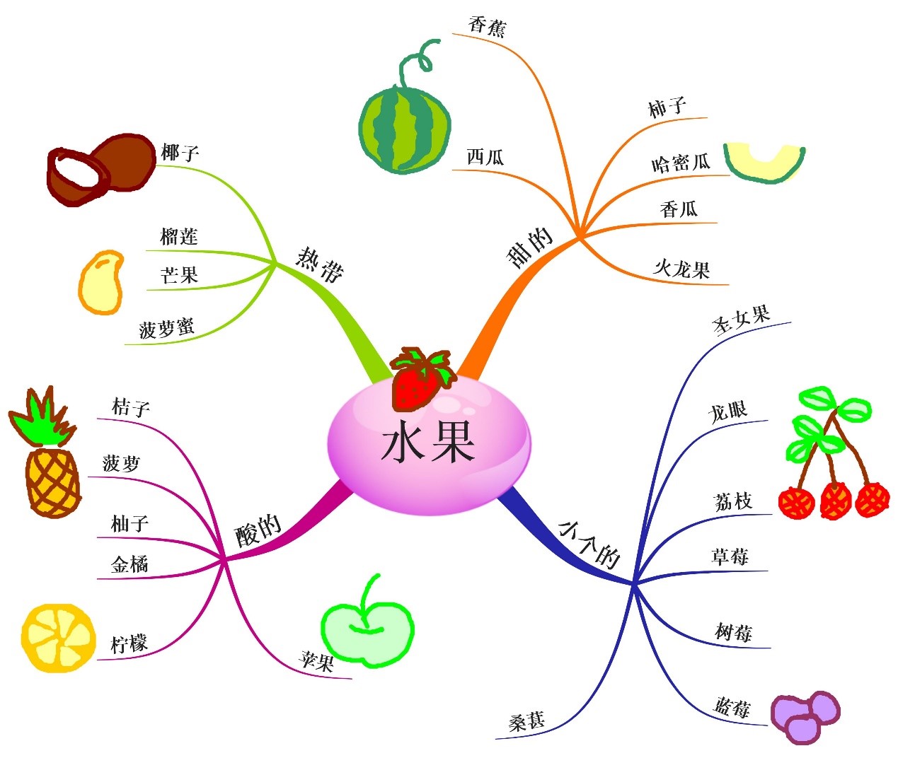 水果主题活动网络图图片