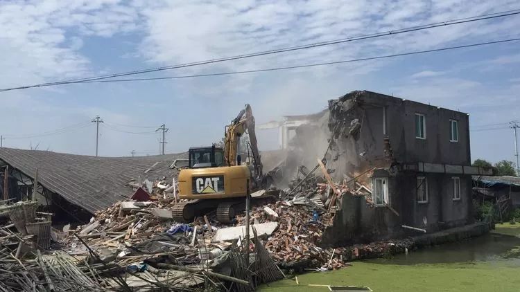 "真功基"养殖场位于董田堤塘路董二村段,占地面积约30亩,养殖约5.