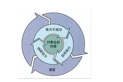 别再纠结能力模型有没有用了看苹果ibm宝洁的做法就知道