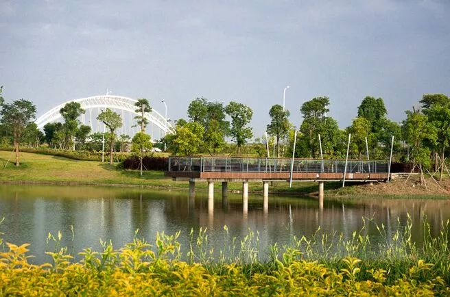 漳州上美湖公园图片