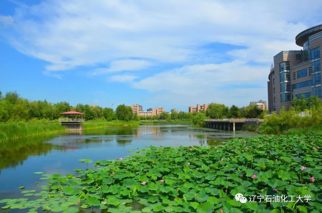 我在遼寧石油化工大學等你來