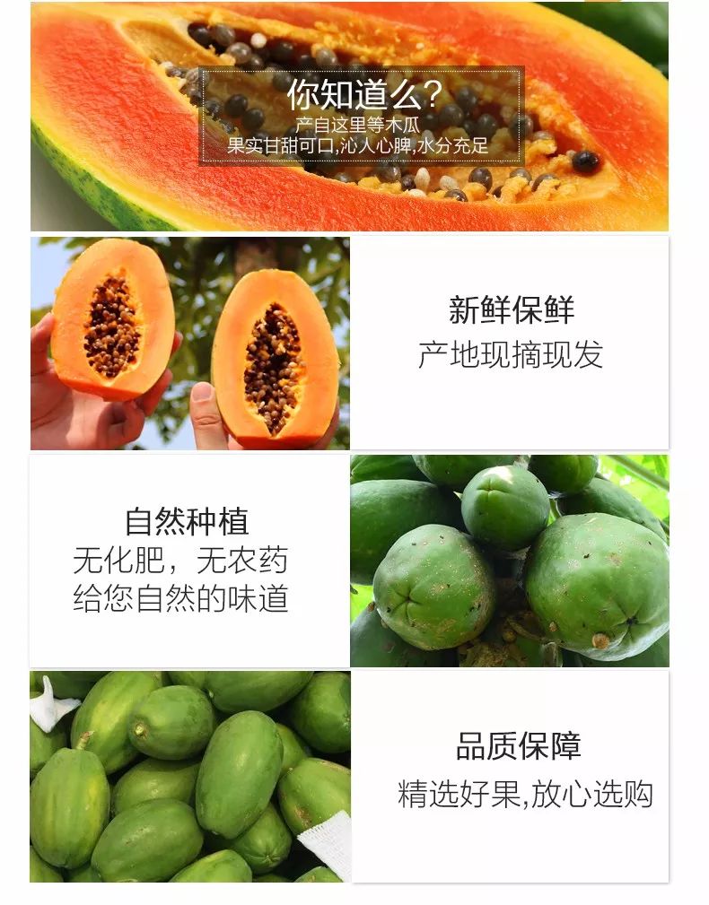 木瓜的种类名称及图片图片