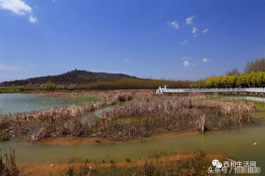 西和县湿地公园——陇东南地区最大的水库