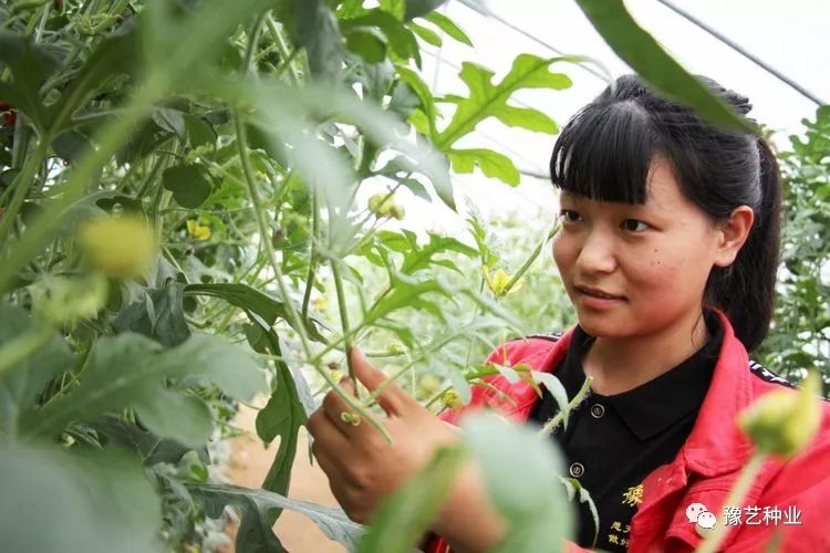 尹家旭:实践出真知.吴敏:风雨之后现彩虹,辛苦之后是收获.