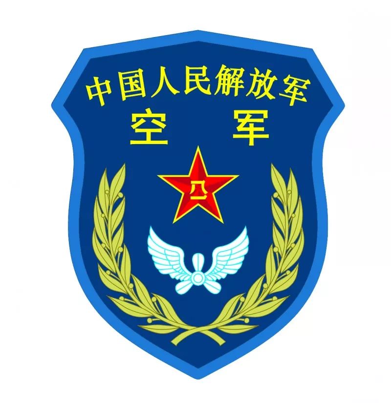 空军胸标logo图片