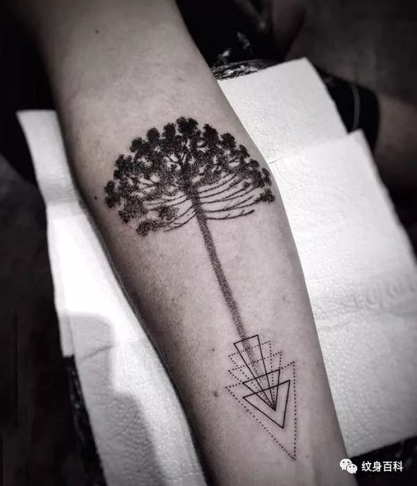 一棵树纹身图图片