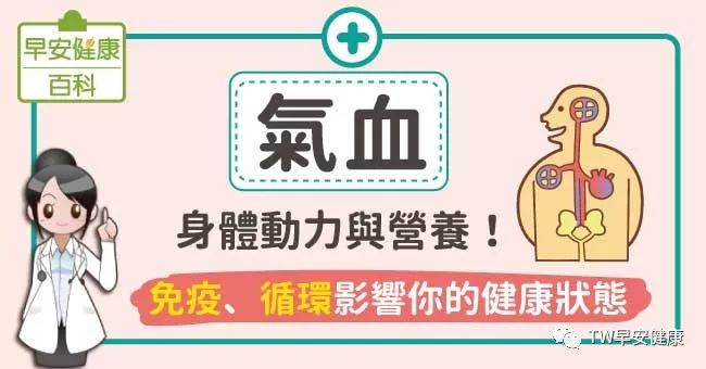 气血身体动力与营养免疫循环影响你的健康状态