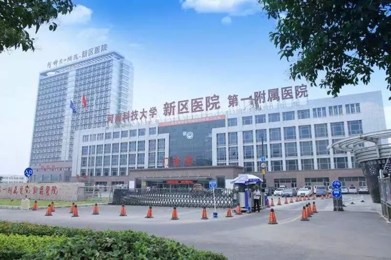 河南科技大学新区女尸图片