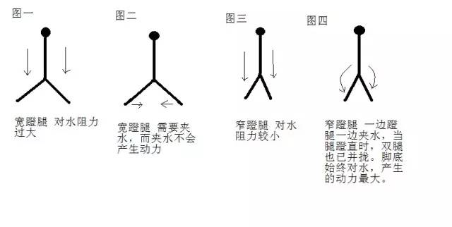 蛙泳窄膝蹬腿技巧