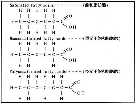 大体上,我们可以脂肪上的脂肪酸分子分成三类:从化学结构上说,脂肪