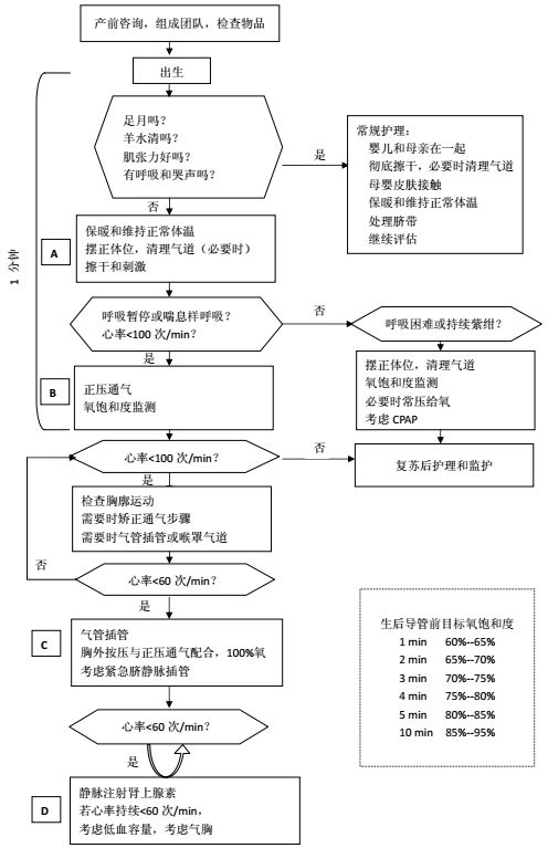 新生儿窒息复苏流程图