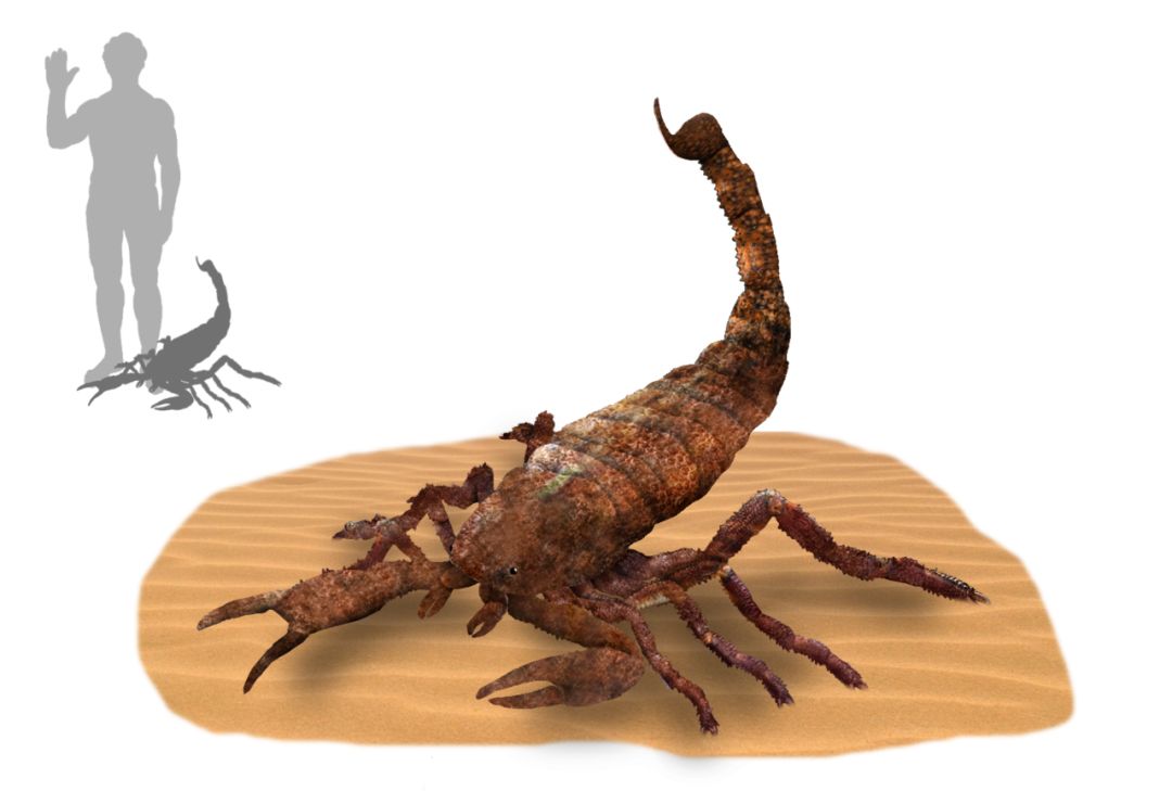 远古巨型蝎子图片