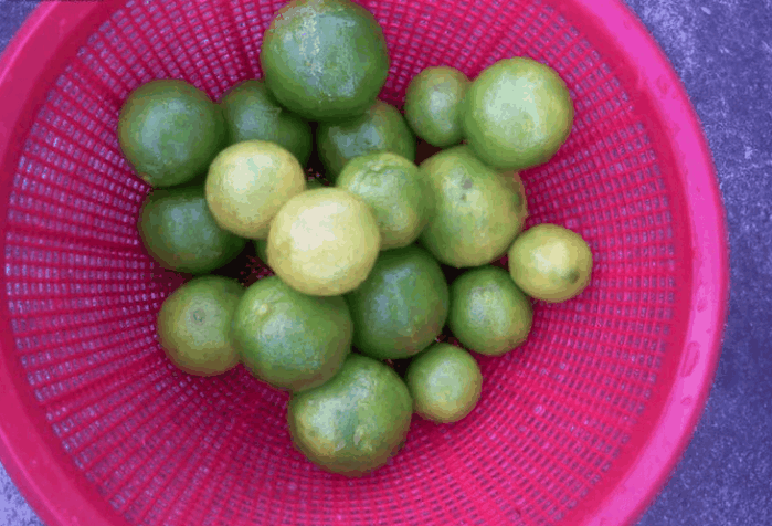 绿色的酸酸的小果子图片