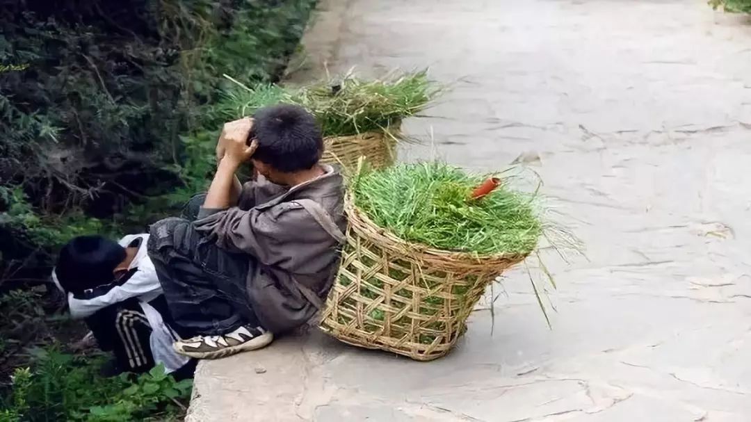 钟祥农村苦孩子的回忆录