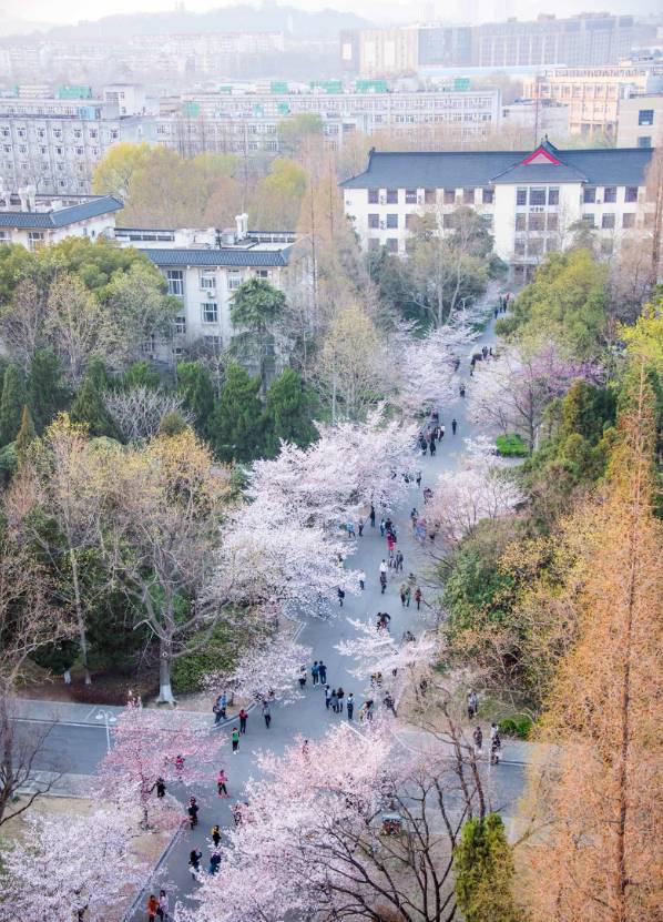 南京林業大學新莊主校區,坐落於風景秀麗的紫金山麓,碧波盪漾的玄武湖