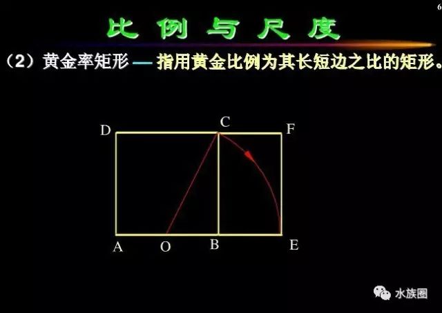 水族另类知识美学原则比例与尺度黄金分割