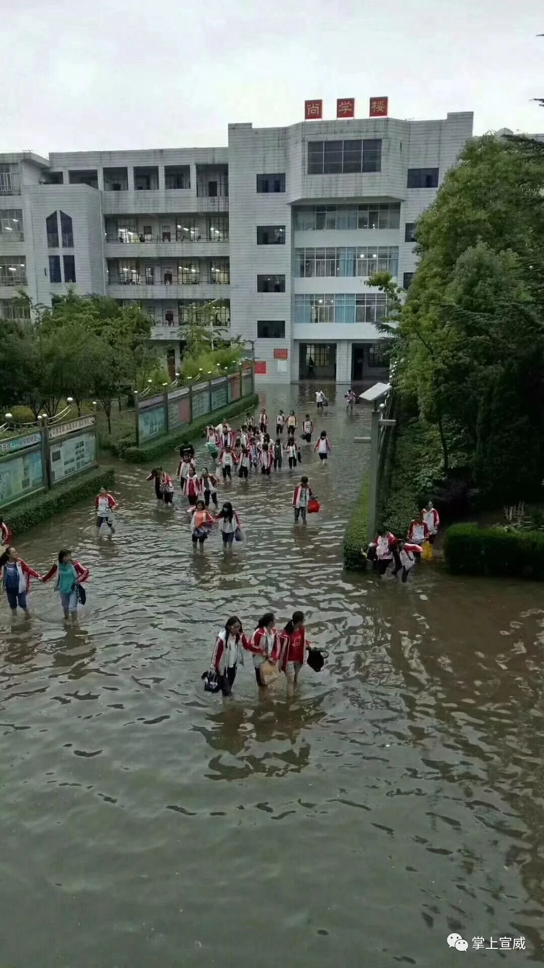 宣威六中被水淹的照片图片