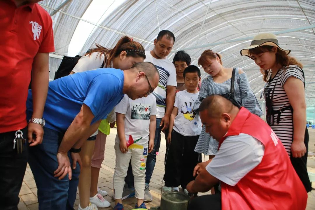 以北的蔬菜公園不到一個小時的車程涇陽蔬菜園,綠優牧場一路高速行車