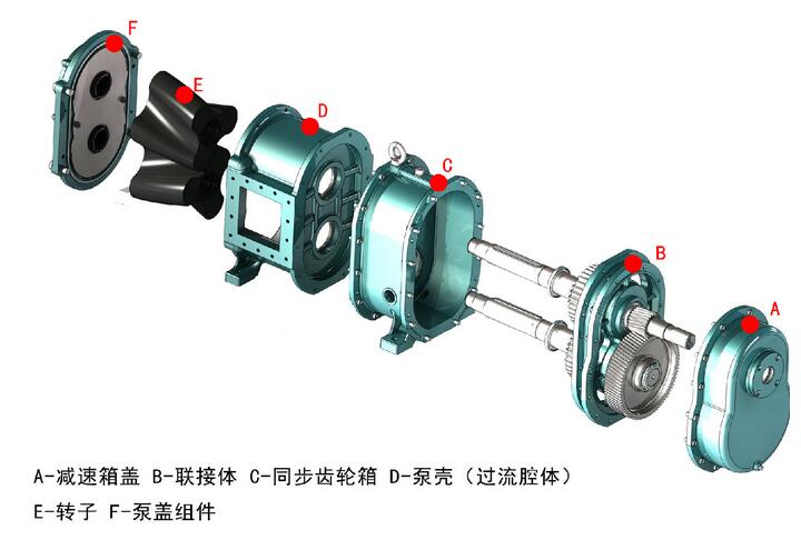 转子泵的结构与工作原理