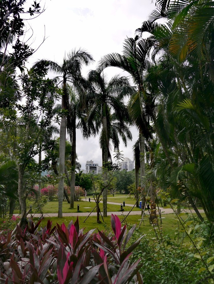 濱海公園在 海口 市濱海大道泰華路口的西南,龍昆路口的 西北 ,依傍