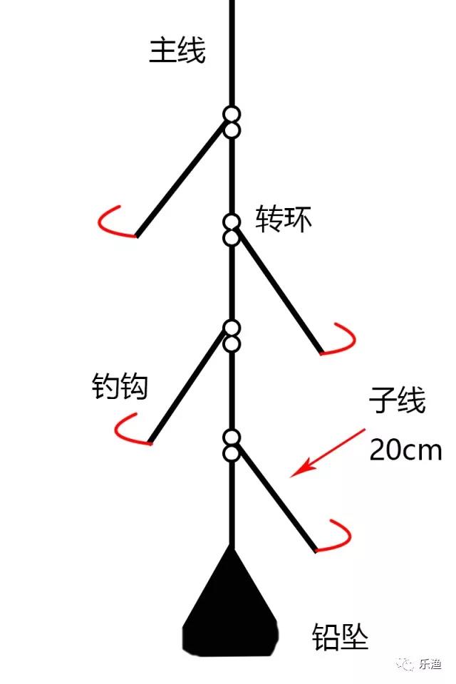 正确的钓组才能爆护梭鱼