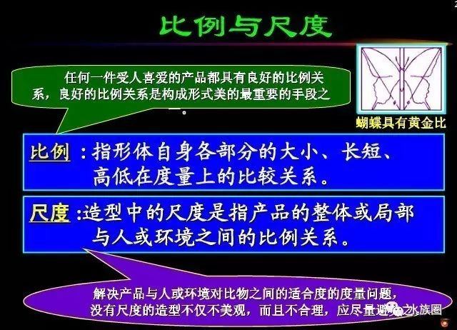 水族另类知识美学原则比例与尺度黄金分割