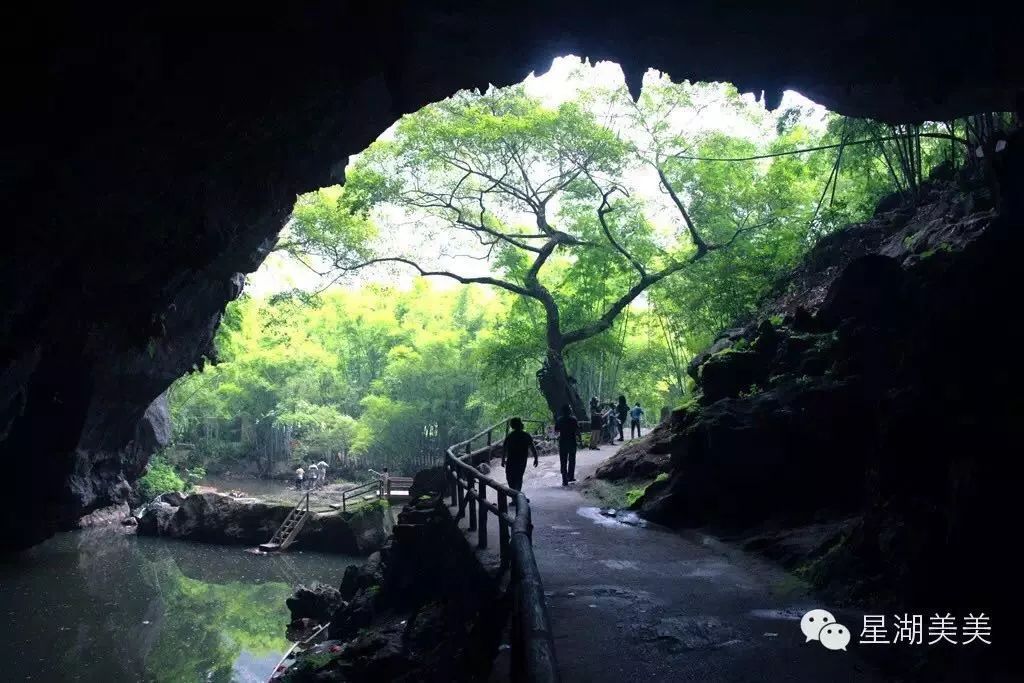 魅力肇慶獨特的嶺南記憶懷集燕巖燕子節